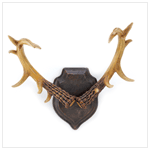 BUCKHORN WALL DECOR
