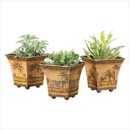 3 SAFARI POTS