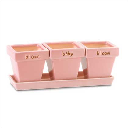 BLOOM BABY BLOOM PLANTERS WITH TRAY